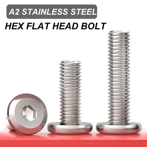Stainless steel allen - stainless,